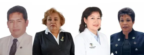 Comisi&oacute;n transitoria 2025